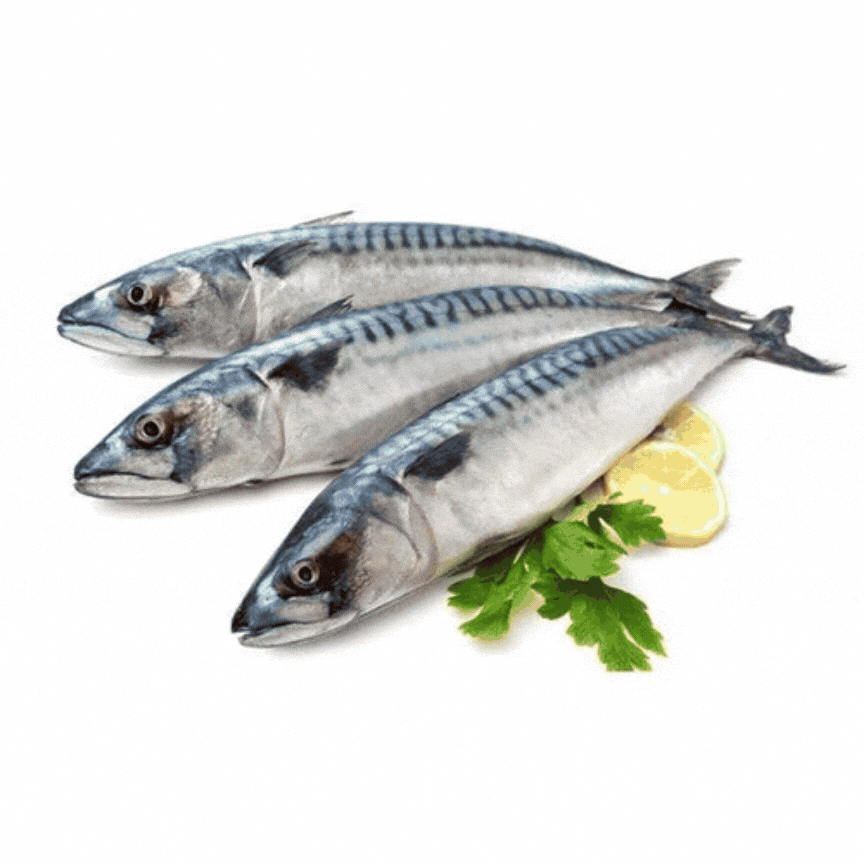 A2Z Sea Foods & Vegetables Export