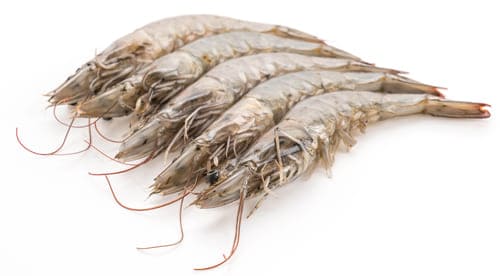 Prawns
