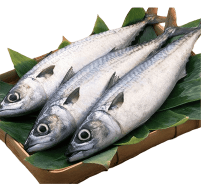 Seer Fish