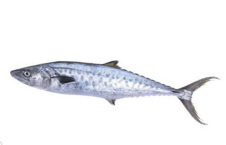 Vanjiram Meen